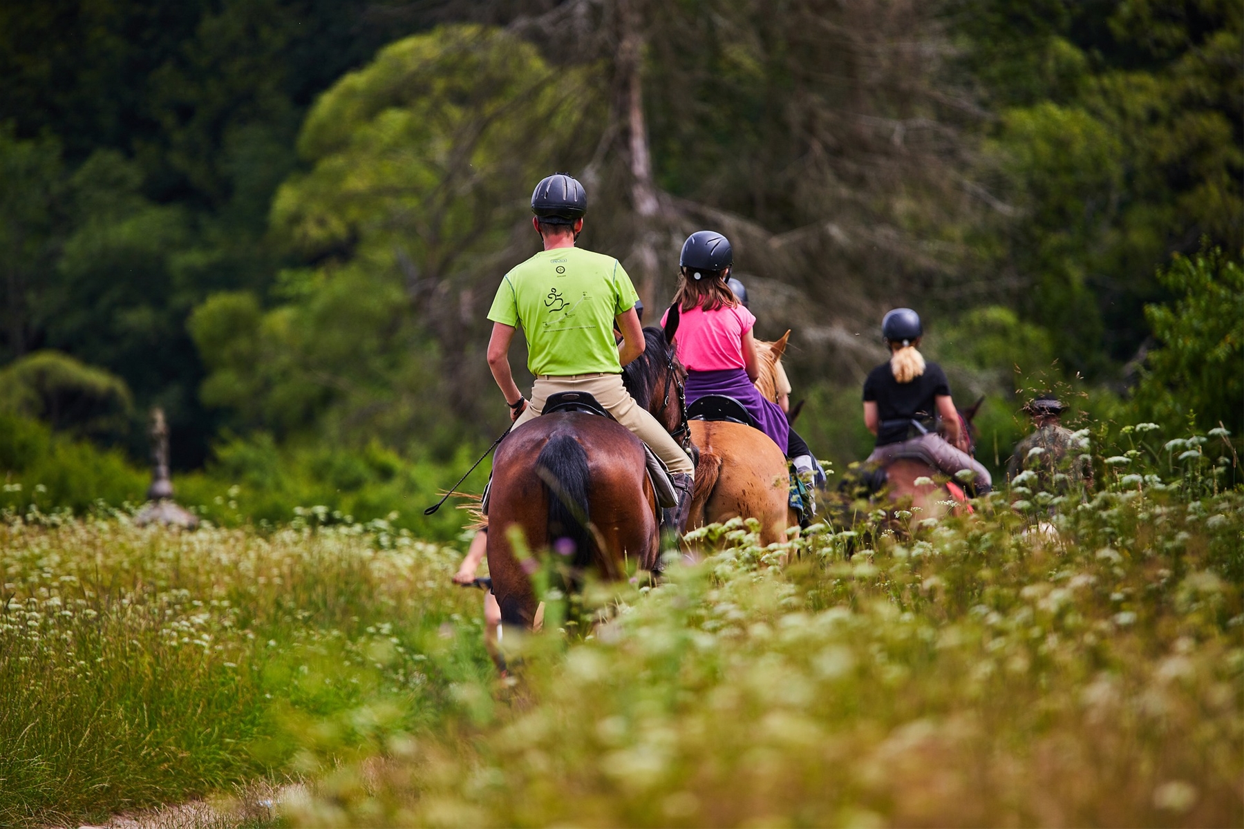 Family on Horseback Tour