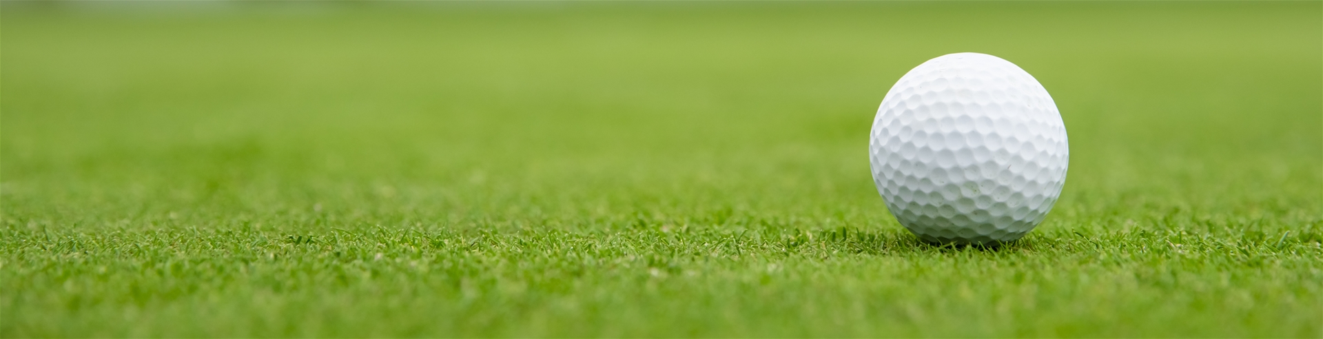 Golf Ball on Green Close Up