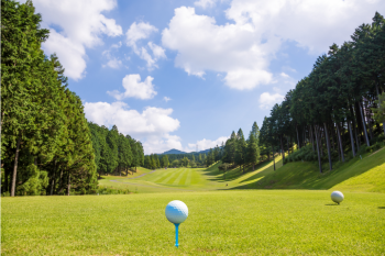 Golf Ball Teed Up On Pack City Utah Golf Course