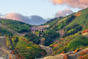 Trees Along Deer Valley Ski Runs in Fall with Red, Yellow, & Orange Leaves