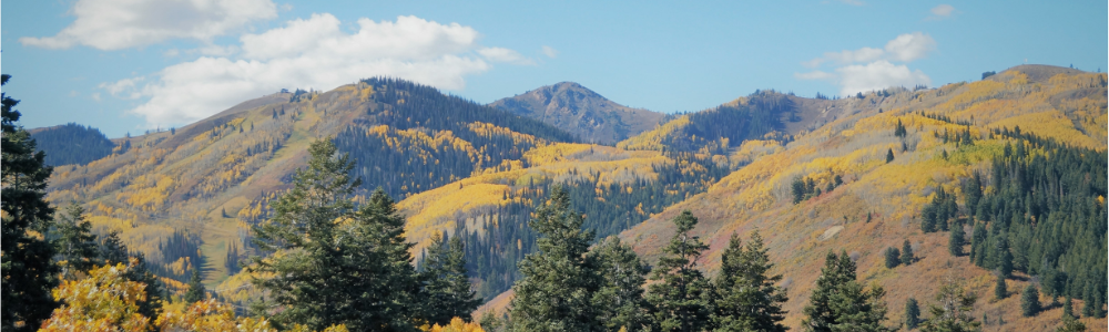 Deer Valley Utah Slopes In Fall