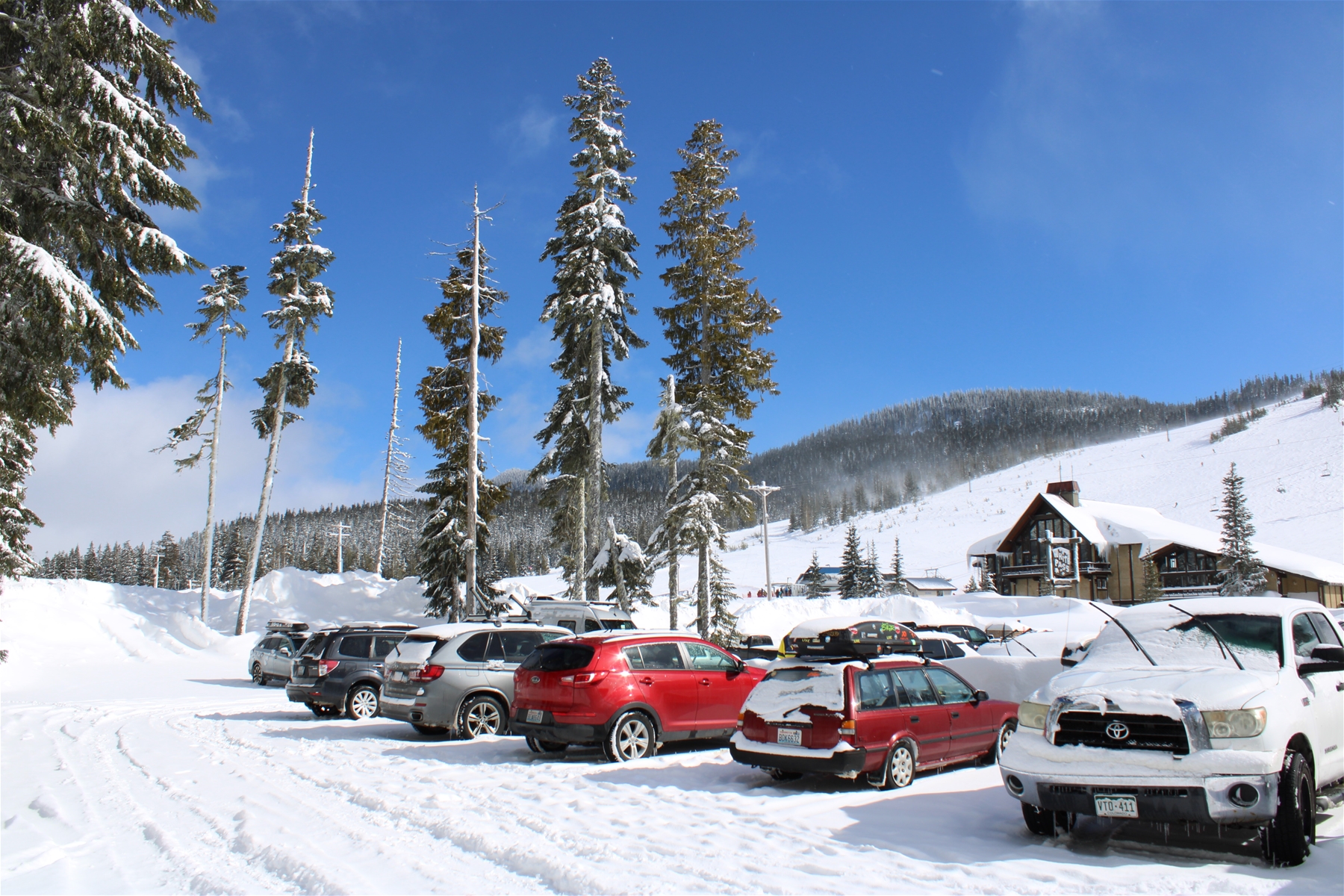 Cars Parked in the Snow