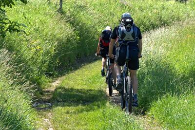 Biking Down Deer Valley Mountain Biking Trail