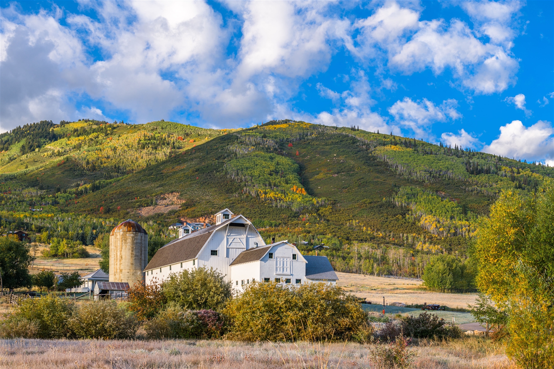 Park City White Barn